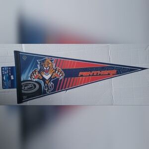 Vintage Florida Panthers NHL Pennant 1990s (Windcraft Sports)